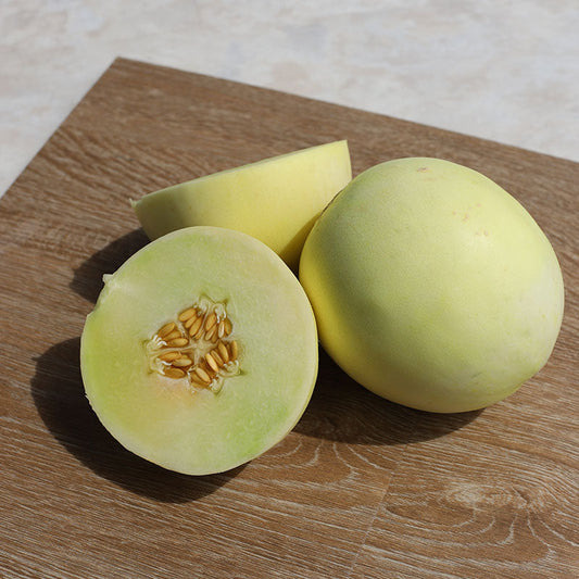 Melon Earli Dew F1 Seed