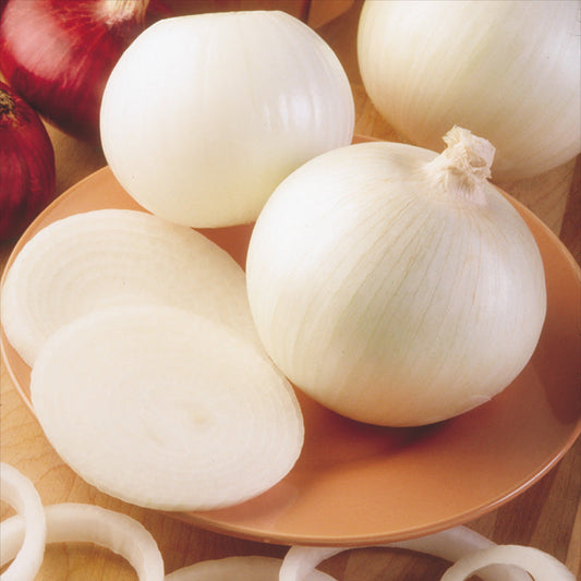 Onion Super Star F1