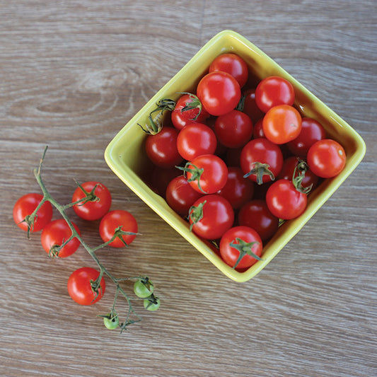 Tomato Supersweet 100 F1 Seed