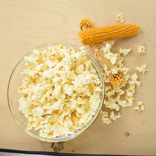 Popcorn Top Pop F1 Seed