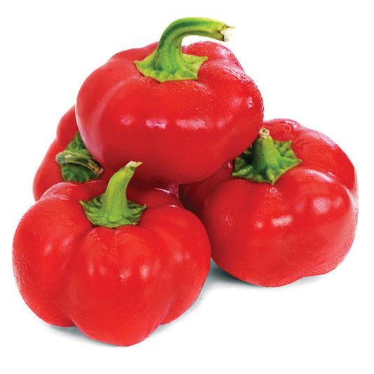 Pepper Right on Red F1 Seed