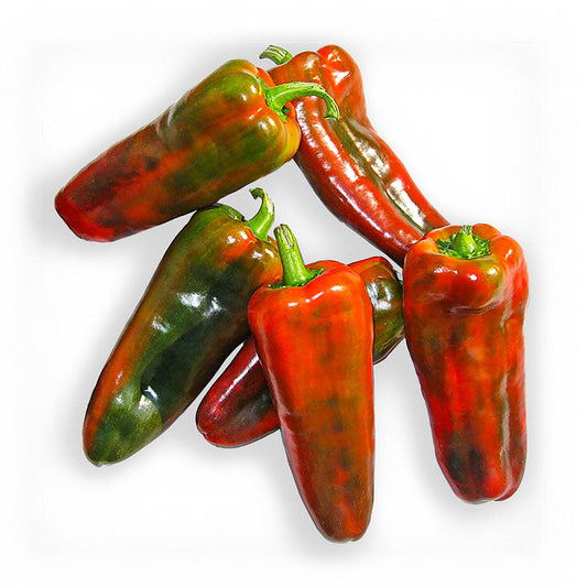 Pepper Cortes F1 Seed