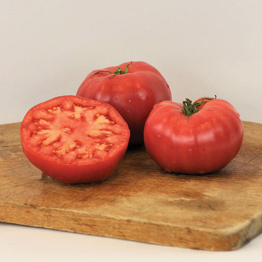 Tomato Damsel F1 Seed
