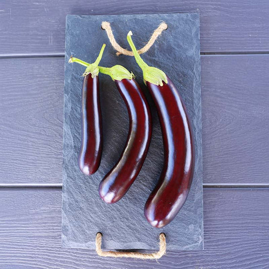 Eggplant Turkish Delite F1 Organic Seed