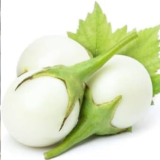 Fresh Eggplant Vegetable Seeds
