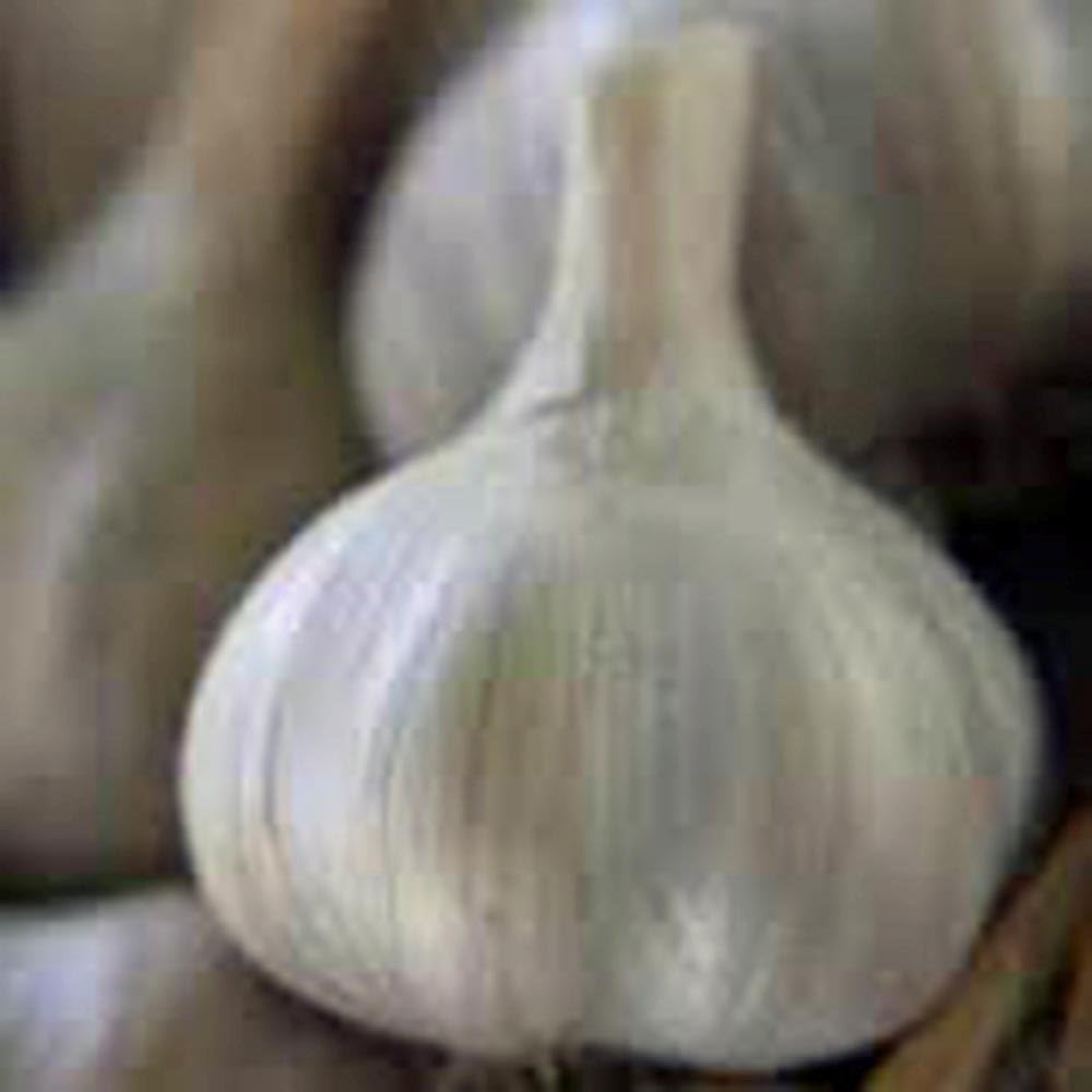Garlic Bulbs 12 per Pack