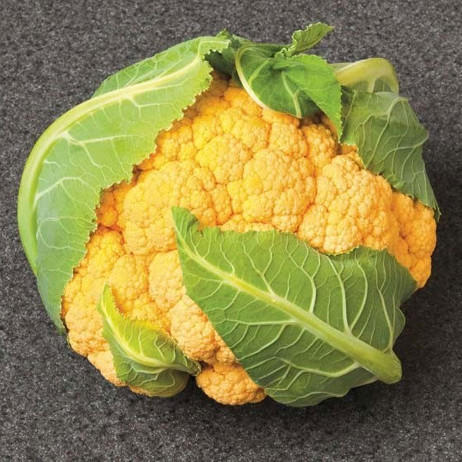 Cauliflower Flame Star Hybrid