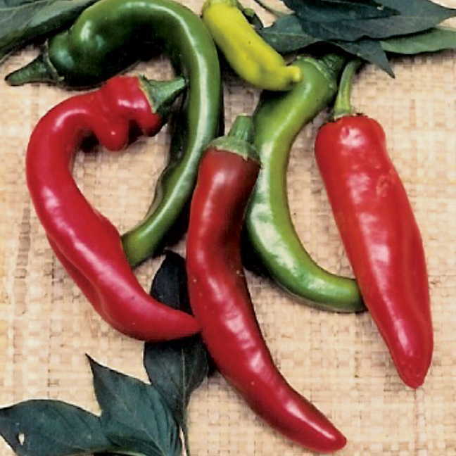 Anaheim Organic Pepper Seeds