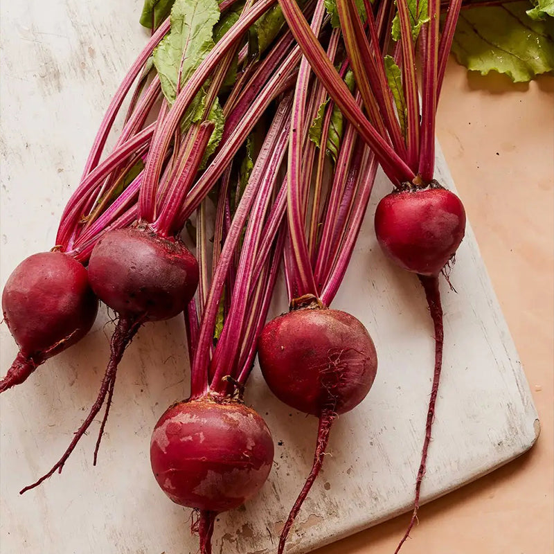 Beet, Detroit Dark Red Medium Top