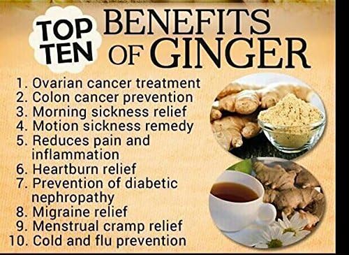 GINGER - -Grow Your own,Grow Indoors or Outdoors(1/2 Pound)