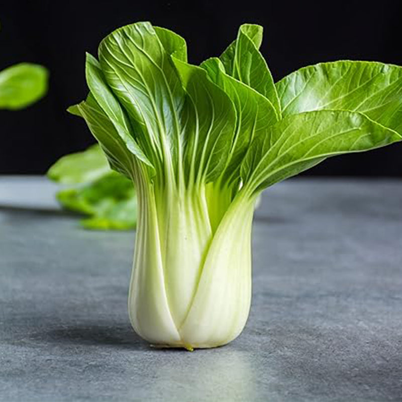 Baby Bok Choy Seeds Shanghai Green Stem AKA Pak Choi Pok Choi Chinese Cabbage