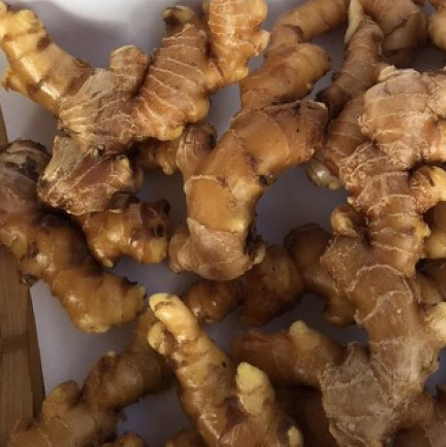 White Brown Ginger Tuber 1/2LB Perennial Herb Plant Great Seasoned Cooking Vegetables Robust Flavor