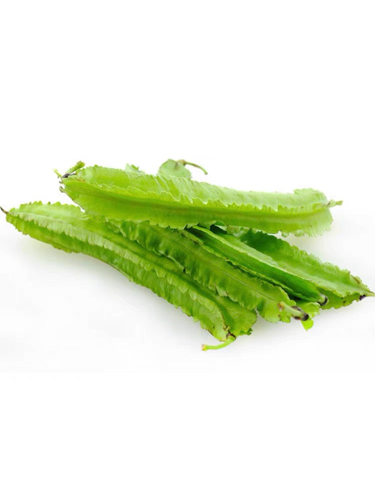 Big And Wide Green special Beans Seeds - Non Gmo - Heirloom Seeds