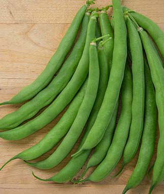 Bean Bush Burpees Tenderpod