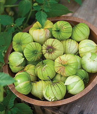 Tomatillo Green Organic