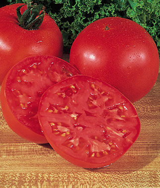 Tomato Burpees Big Boy Hybrid