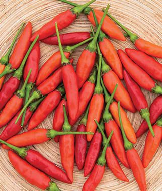Pepper Hot Tabasco