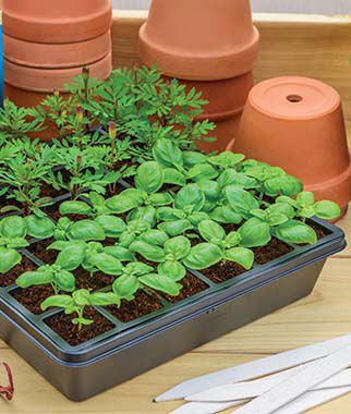 72 and 36 Cell Greenhouse Kits