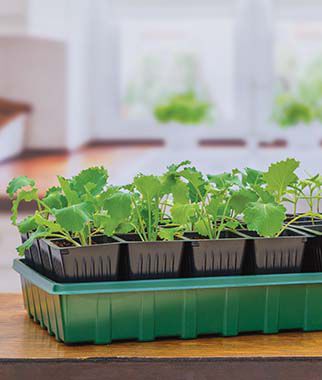 32 XL Cell Self-Watering Ultimate Growing System