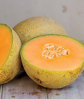 Cantaloupe Olympic Express Hybrid