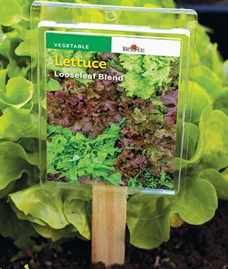 Plant ID Tags