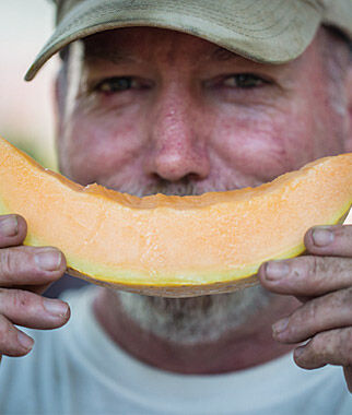 Cantaloupe Aphrodite Hybrid