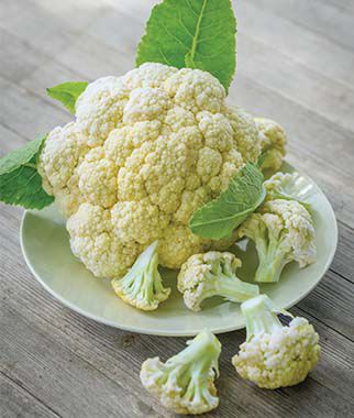 Cauliflower White Corona Hybrid