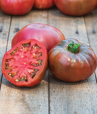 Tomato Darkstar Hybrid