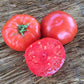 Tomato Beefsteak Organic Seed