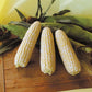 Sweet Corn Harris 1001 F1 Seed