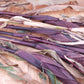 Ornamental Corn Red Stalker Seed