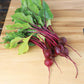 Beet Merlin F1 Seed