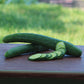 Cucumber Burpless 26 F1 Seed