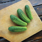 Cucumber Regal F1 Seed