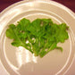 Lettuce Green Salad Bowl Seed