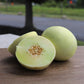 Melon Earli Dew F1 Seed