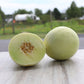 Melon Earli Dew F1 Seed