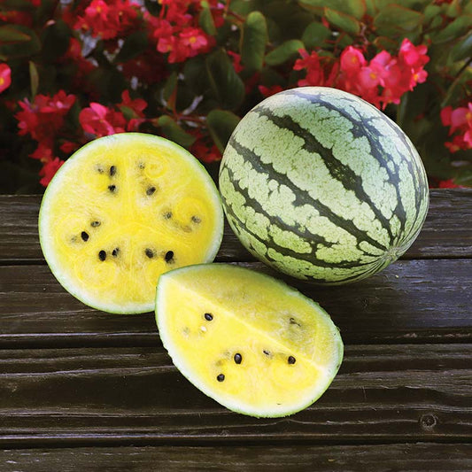 Watermelon Yellow Doll F1 Seed