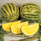 Watermelon Yellow Doll F1 Seed