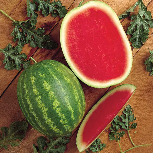 Watermelon Millionaire F1 Seed