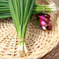 Onion Tokyo Long White Seed