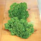 Parsley Banquet Seed