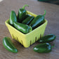 Pepper Jalapeno M Seed