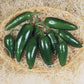 Pepper Jalapeno M Seed