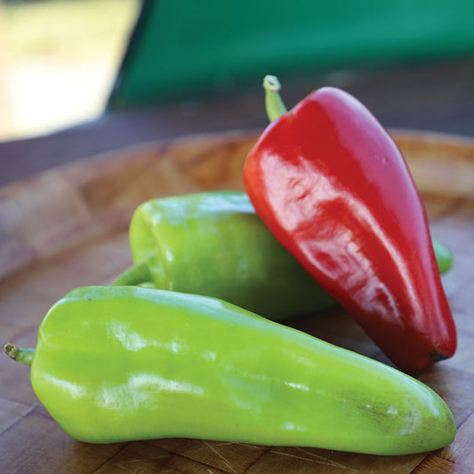 Pepper Cubanelle Seed