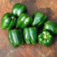 Pepper Lady Bell F1 Seed