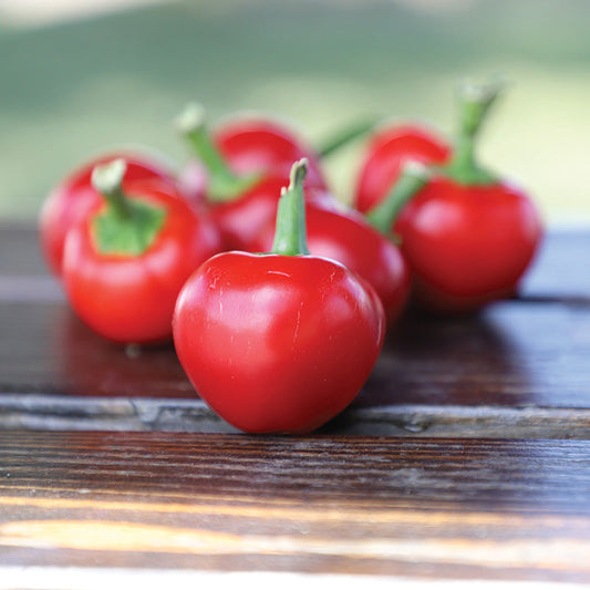 Pepper Large Red Cherry Hot Seed