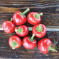 Pepper Large Red Cherry Hot Seed
