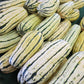 Squash Delicata Seed
