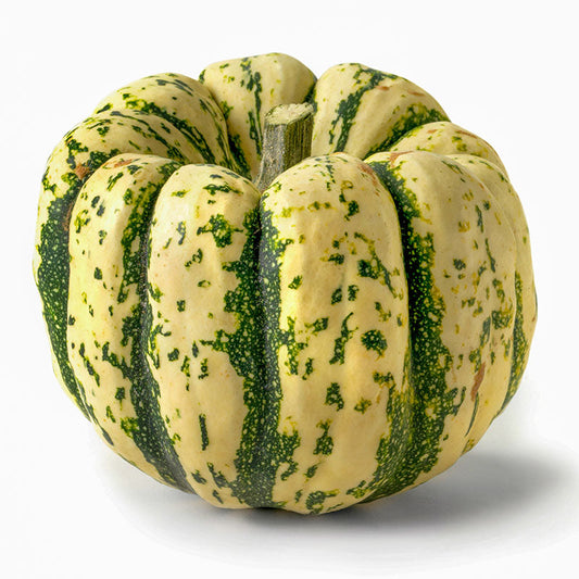 Squash Sweet Dumpling Seed
